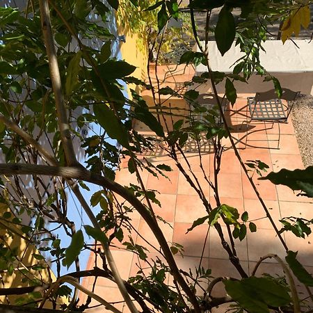 Sous Les Pins Parasols Vidauban Ngoại thất bức ảnh