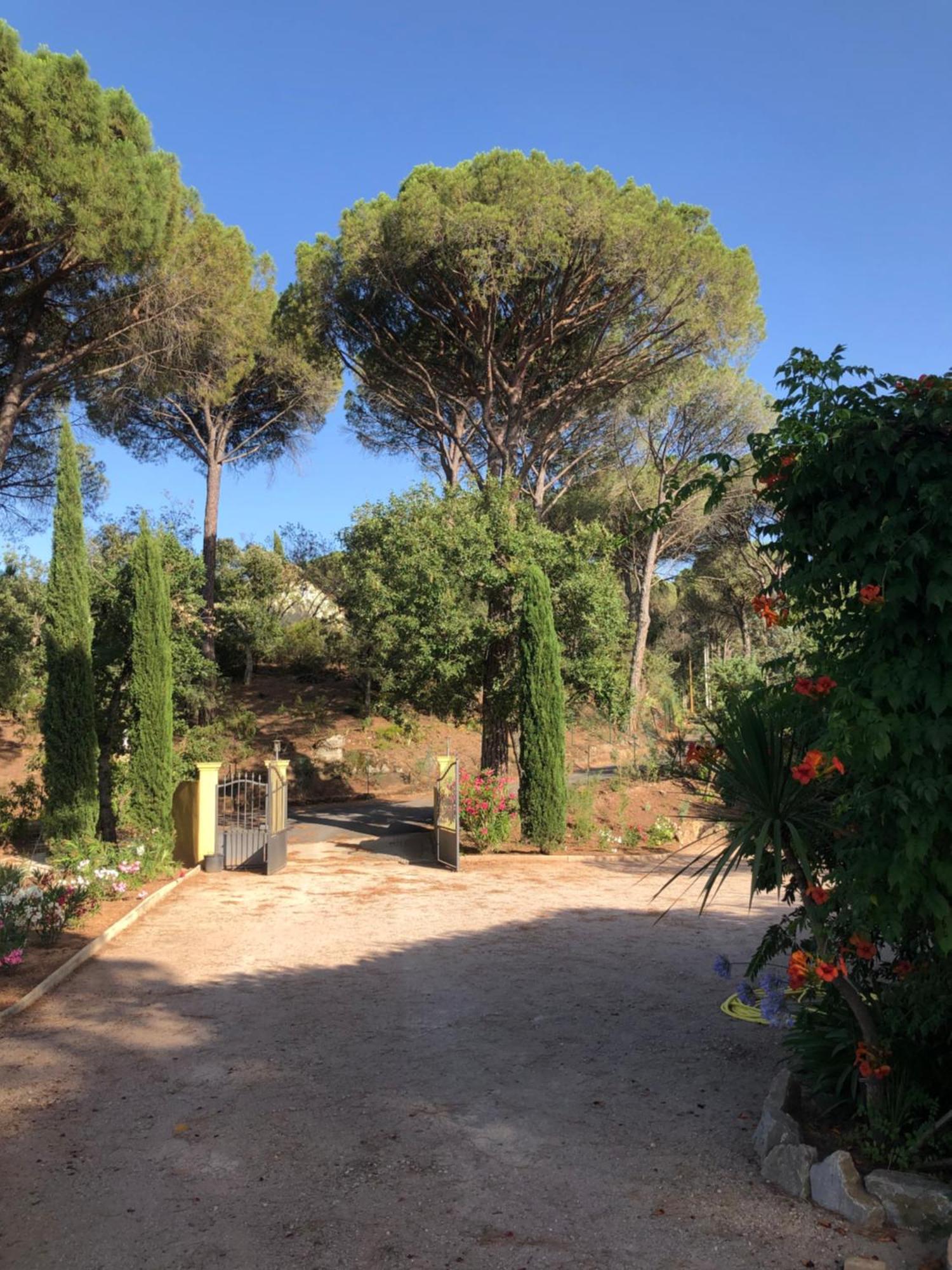 Sous Les Pins Parasols Vidauban Ngoại thất bức ảnh