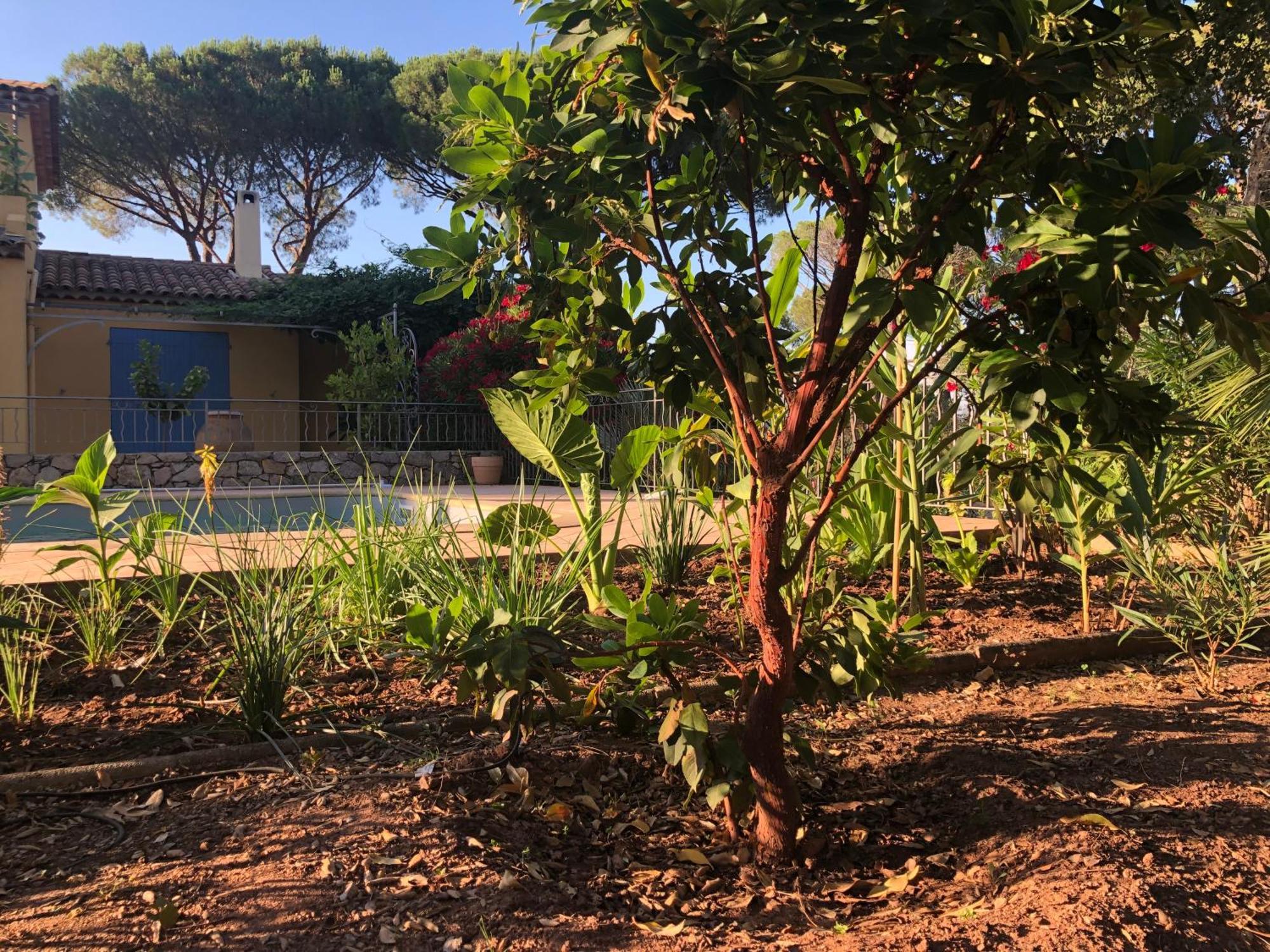 Sous Les Pins Parasols Vidauban Ngoại thất bức ảnh