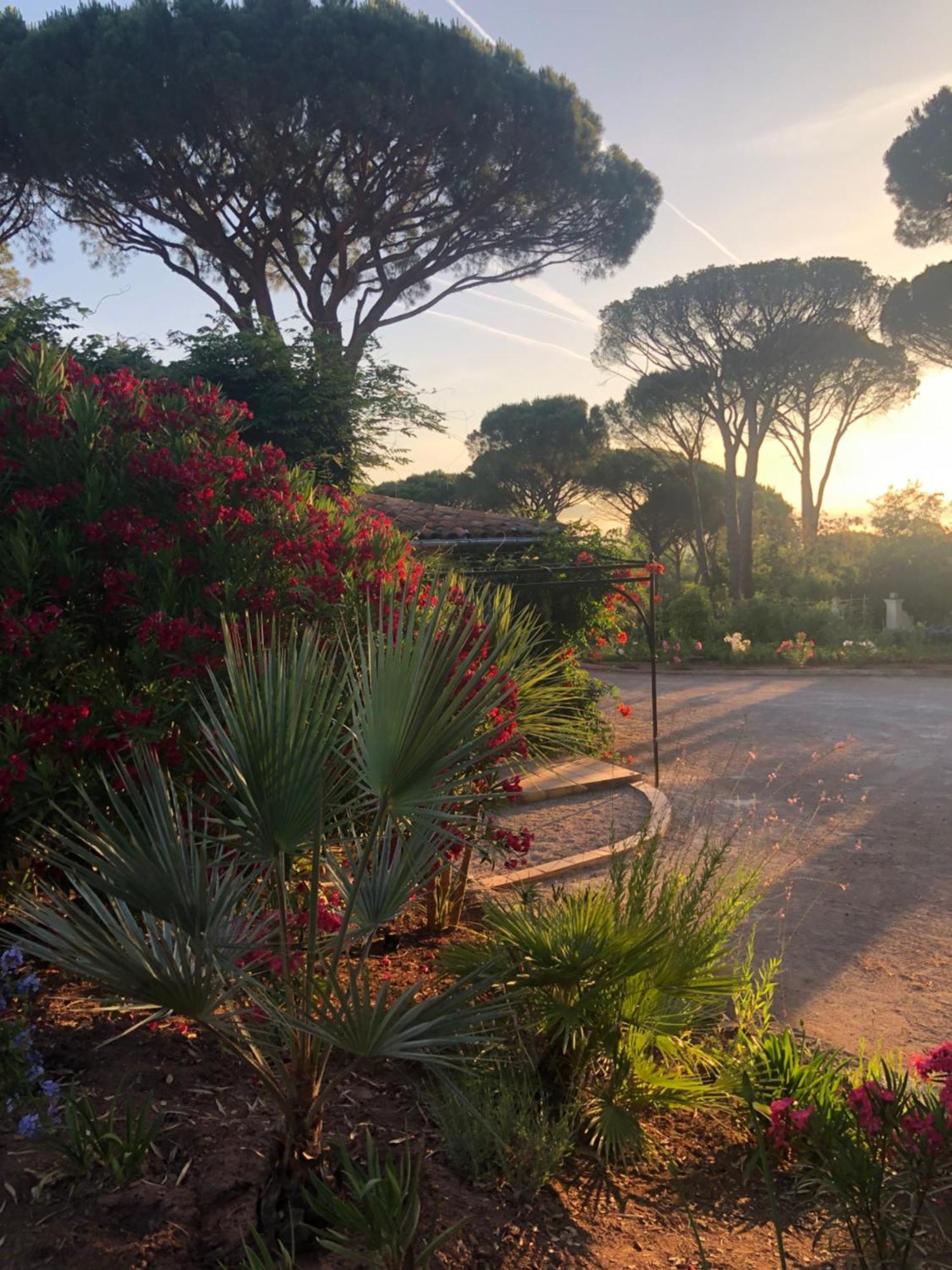 Sous Les Pins Parasols Vidauban Ngoại thất bức ảnh