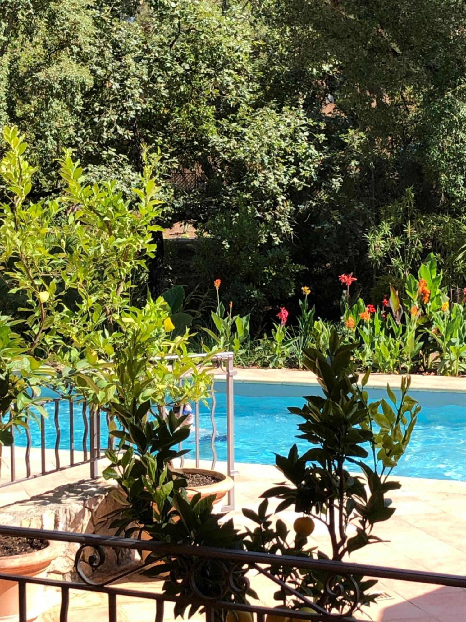 Sous Les Pins Parasols Vidauban Ngoại thất bức ảnh