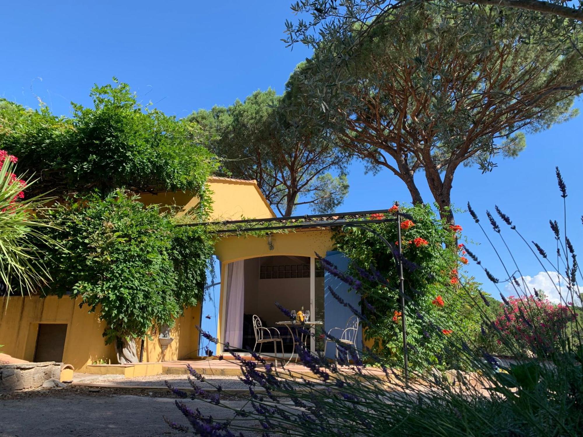 Sous Les Pins Parasols Vidauban Ngoại thất bức ảnh