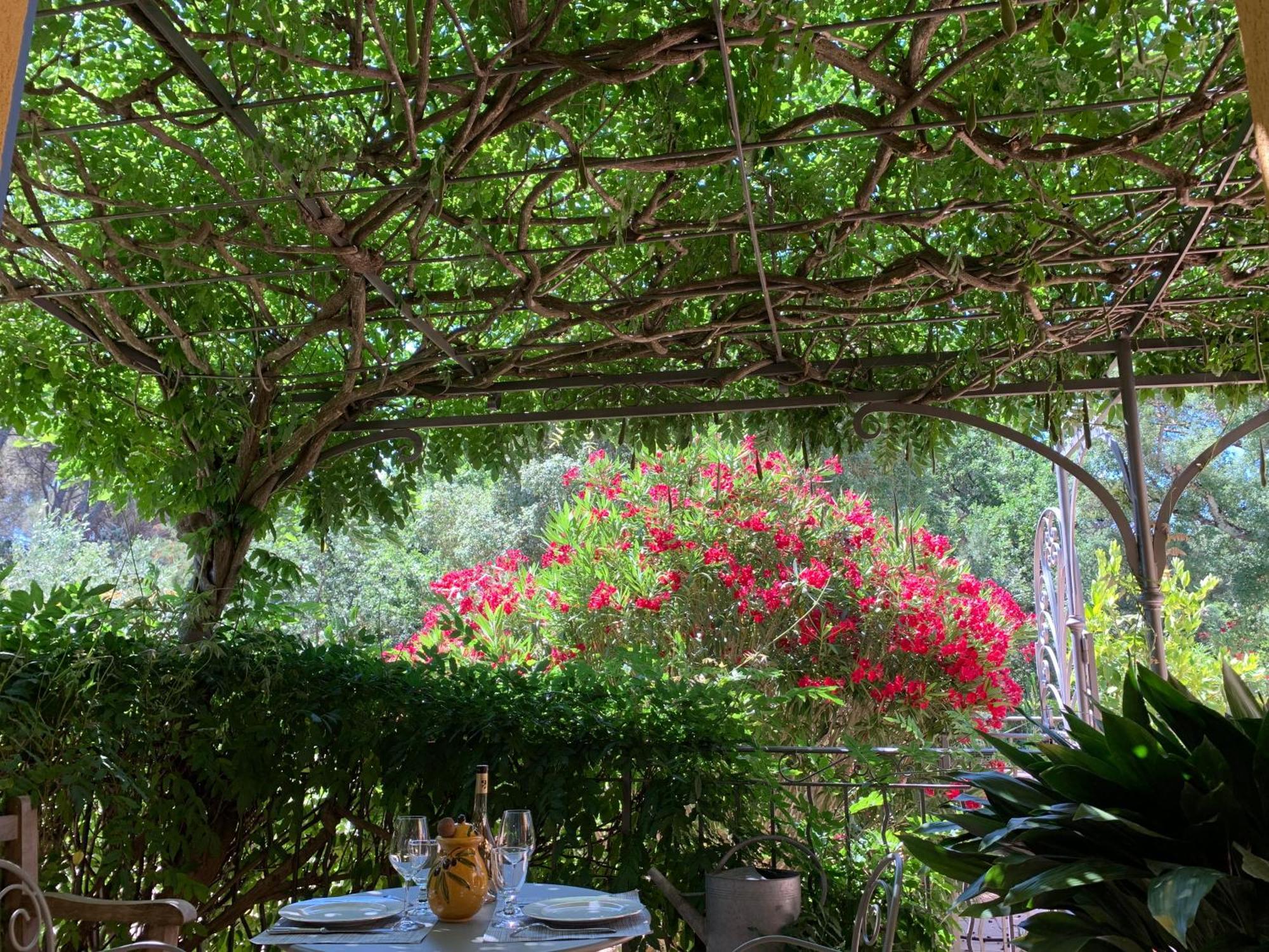 Sous Les Pins Parasols Vidauban Ngoại thất bức ảnh