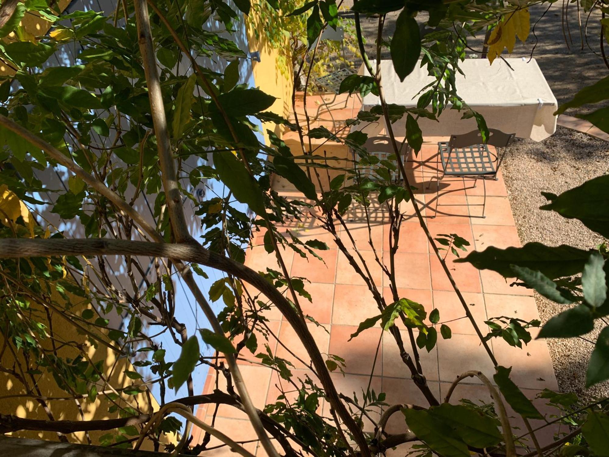Sous Les Pins Parasols Vidauban Ngoại thất bức ảnh